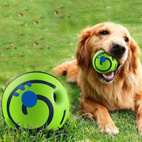 Funny Ball - Interactive Toy