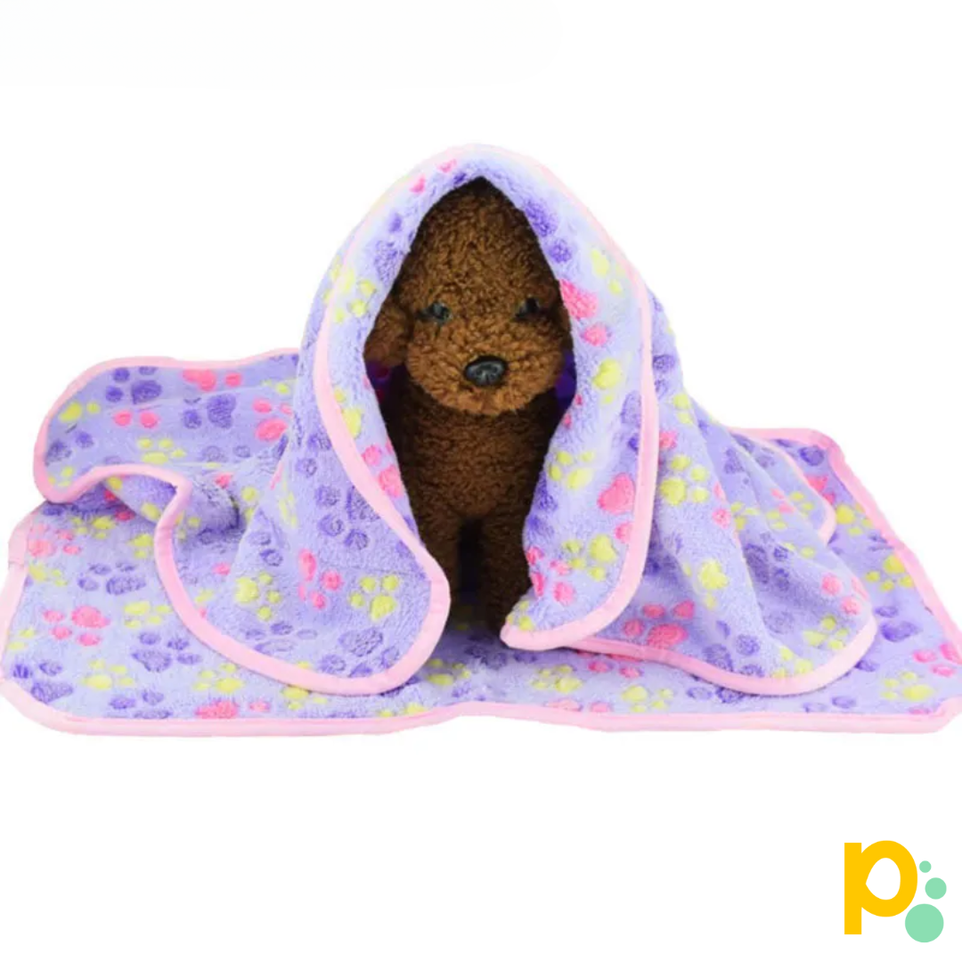 Ultra-Soft Fleece Blanket