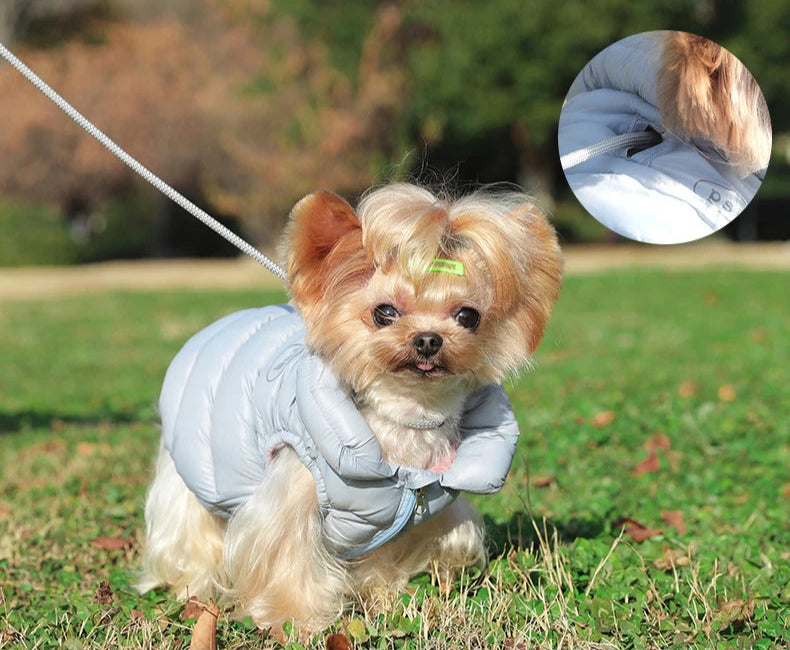 Winter Dog Jacket