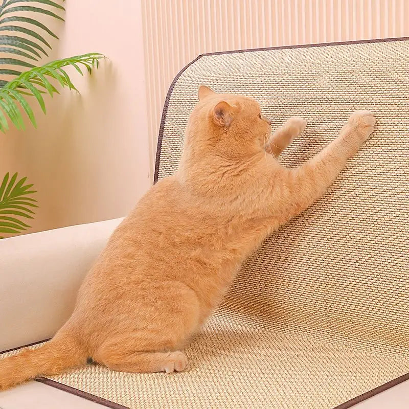 Sisal Fit Scratching Mat