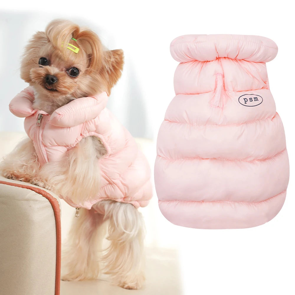 Winter Dog Jacket