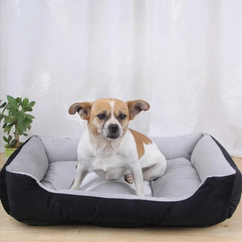 Velvet Pet Bed