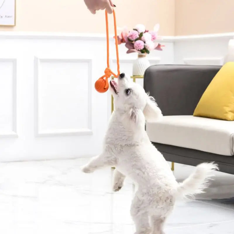 Durable Rope Ball
