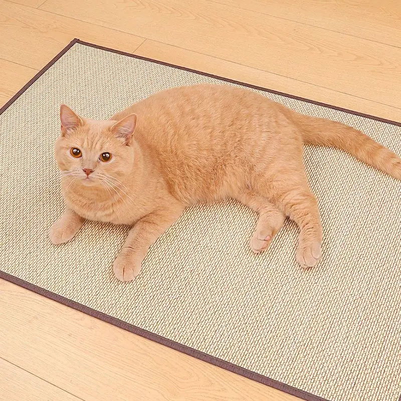 Sisal Fit Scratching Mat