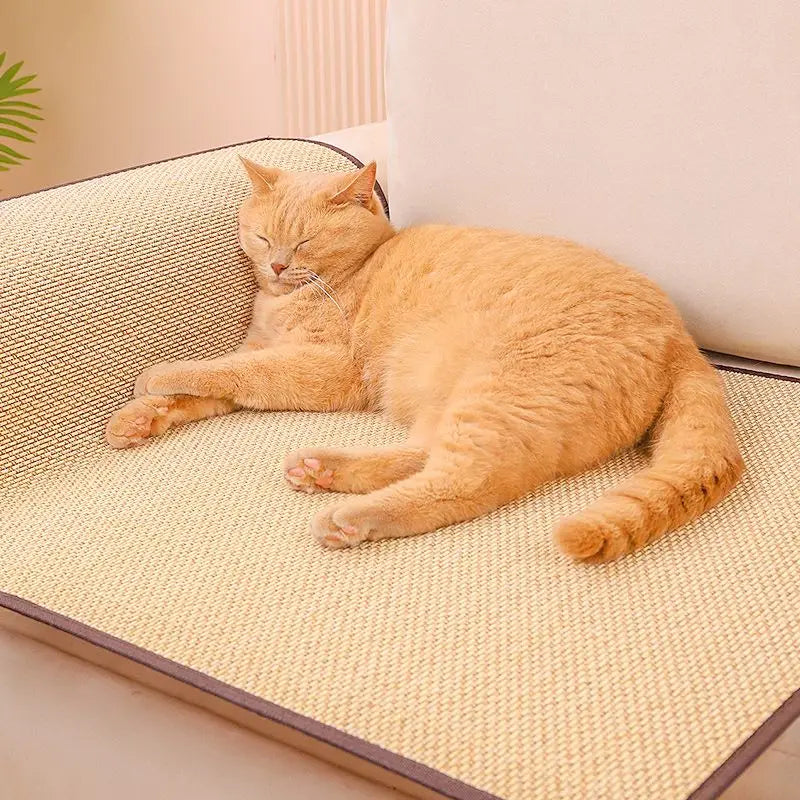 Sisal Fit Scratching Mat
