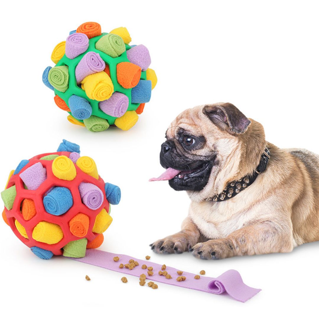 Pet Snack® Interactive Ball