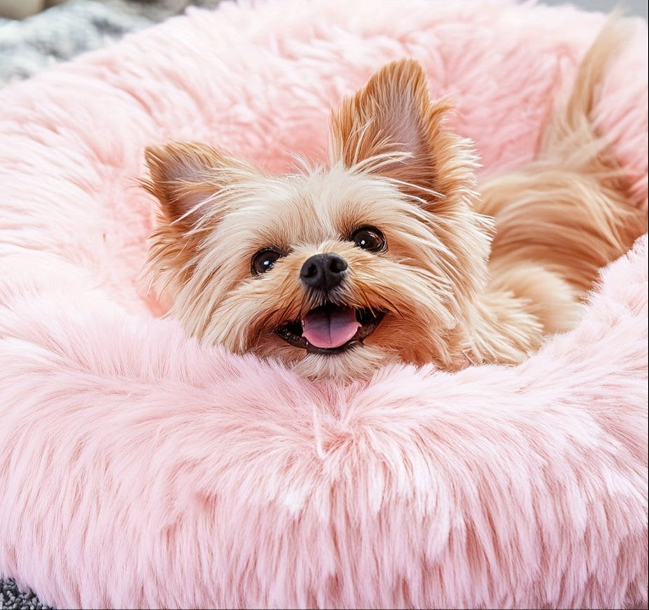 Dog & Cat Donut Bed