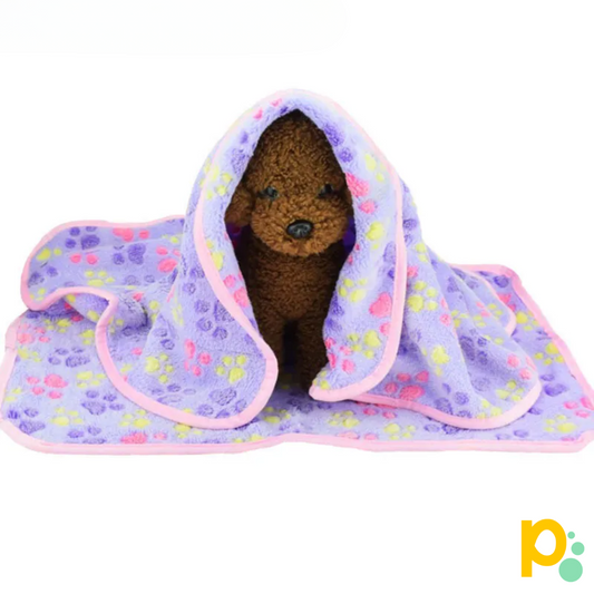 Ultra-Soft Fleece Blanket