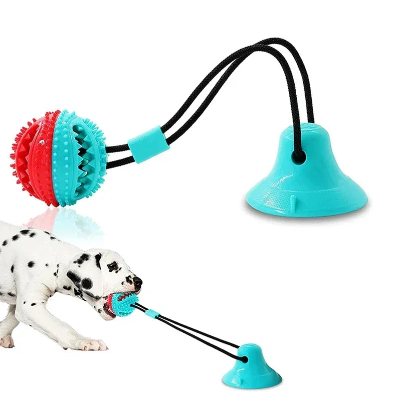 Interaktiver Kauball 