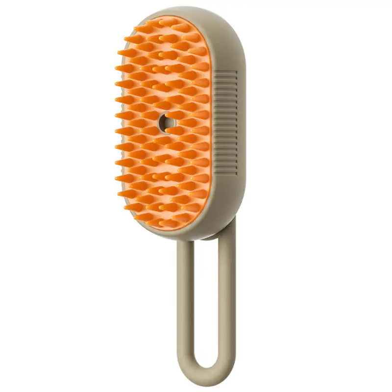 Steam Spray Massage Brush
