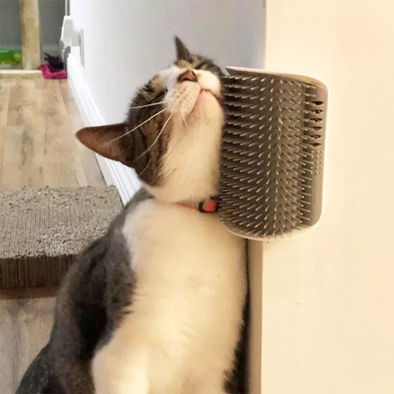Pente de mur pour chats 