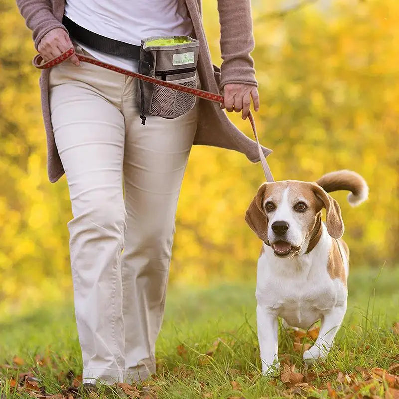 Bolsa de Treinamento Portátil para Cães