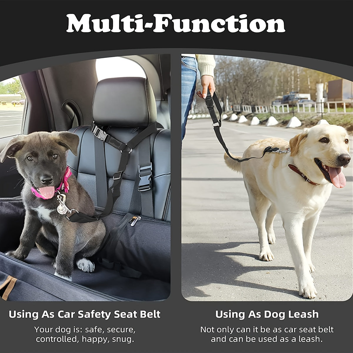 Dog Seat Belt Tether