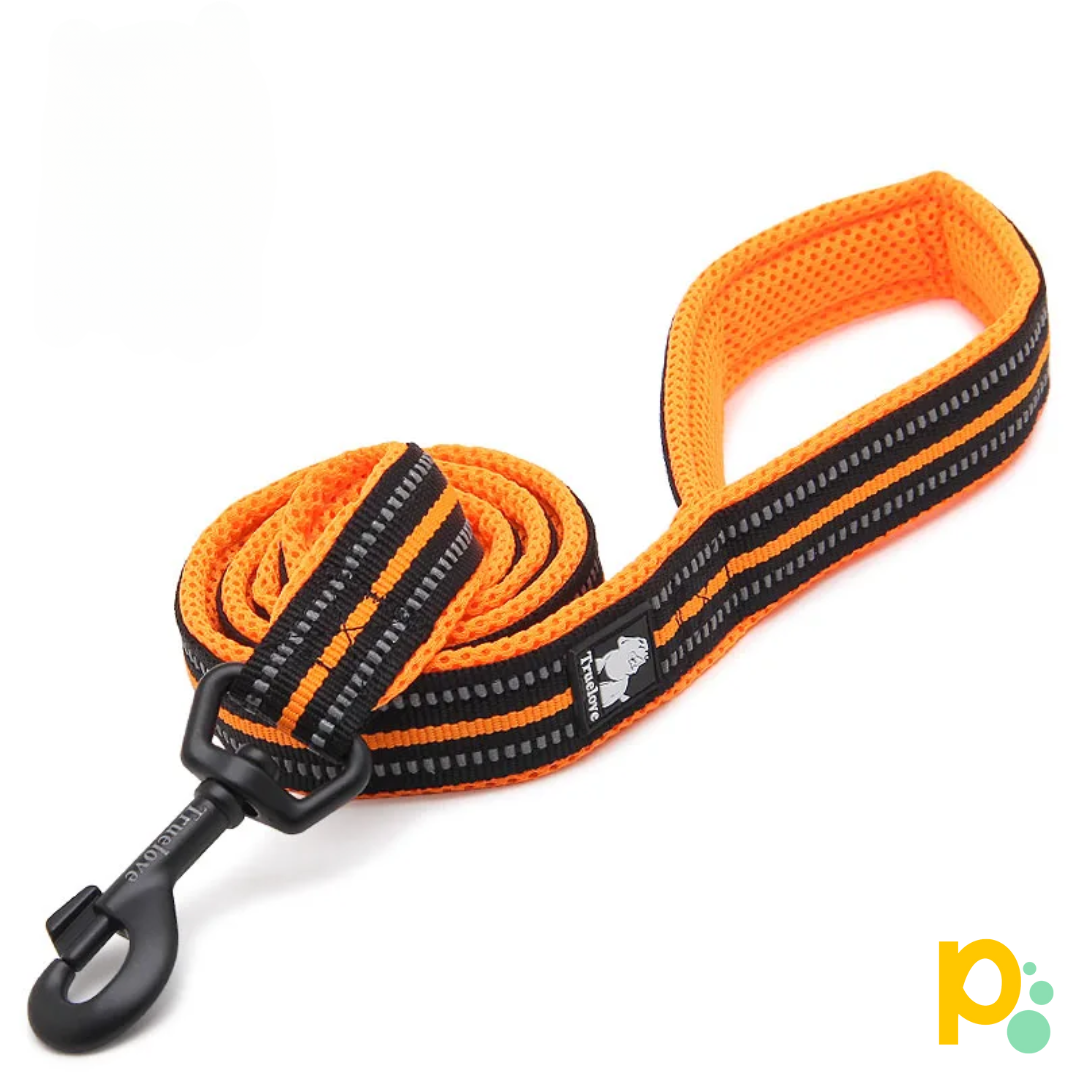 Guia com Refletor Pet Leash