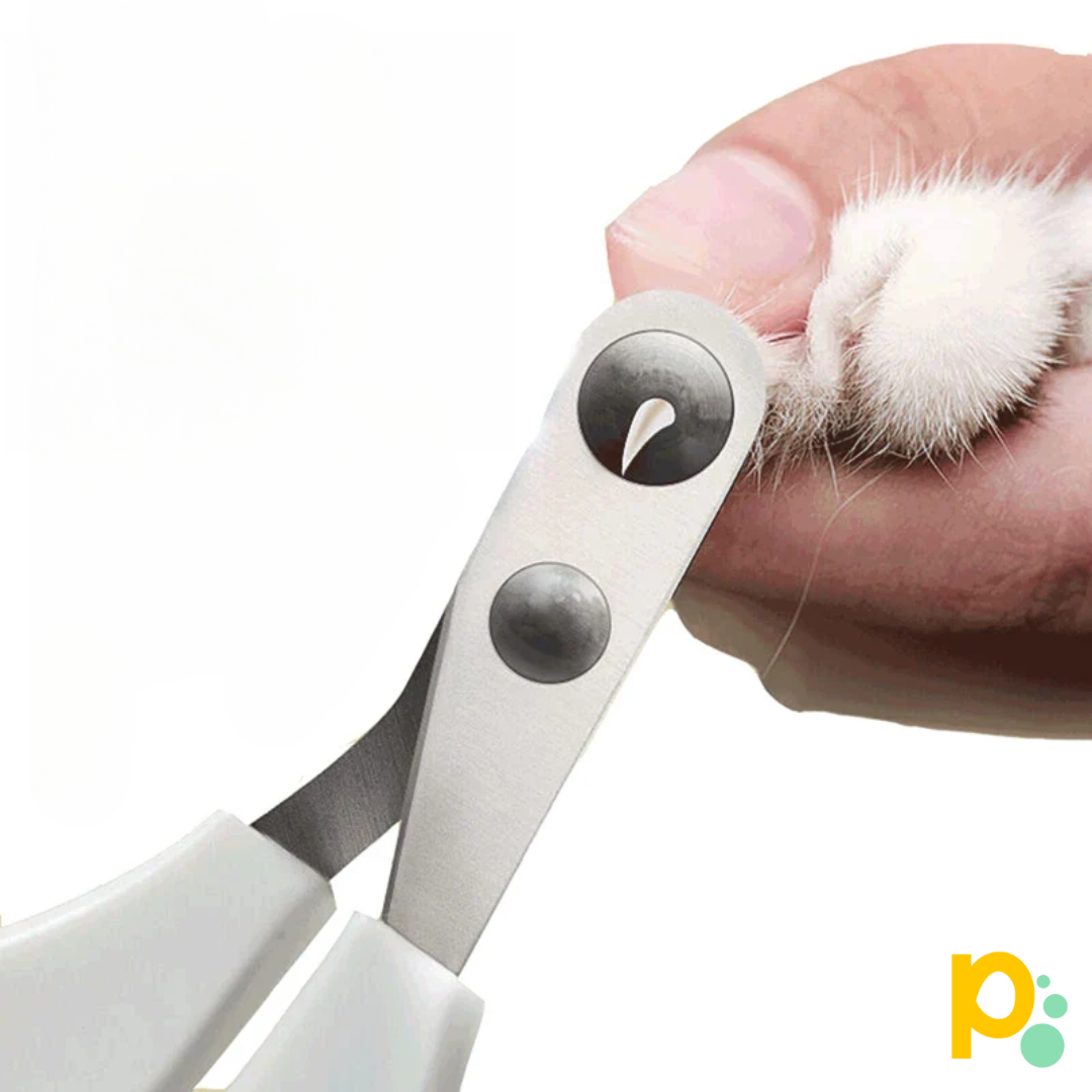 Coupeuse de PetCut 