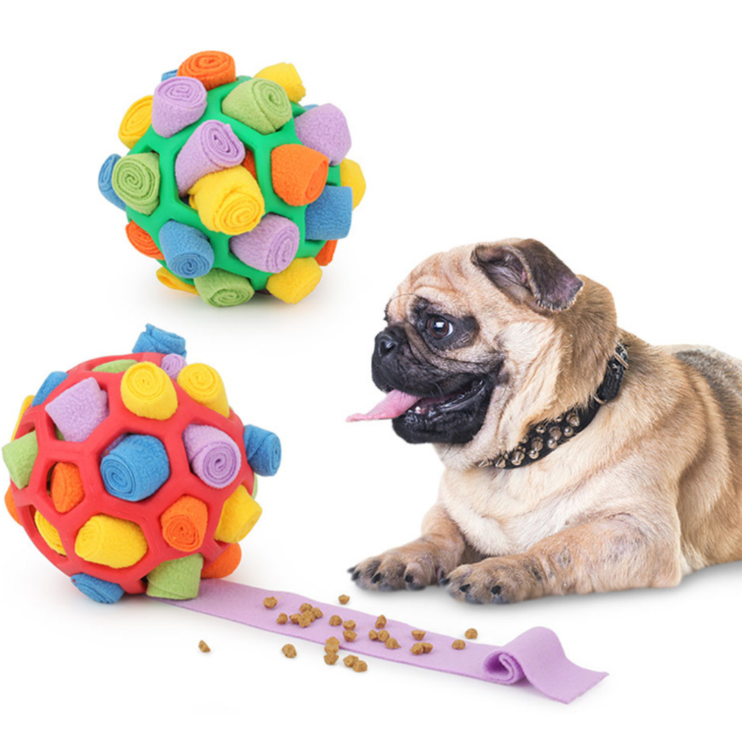 Bola Interativa PetSnack®