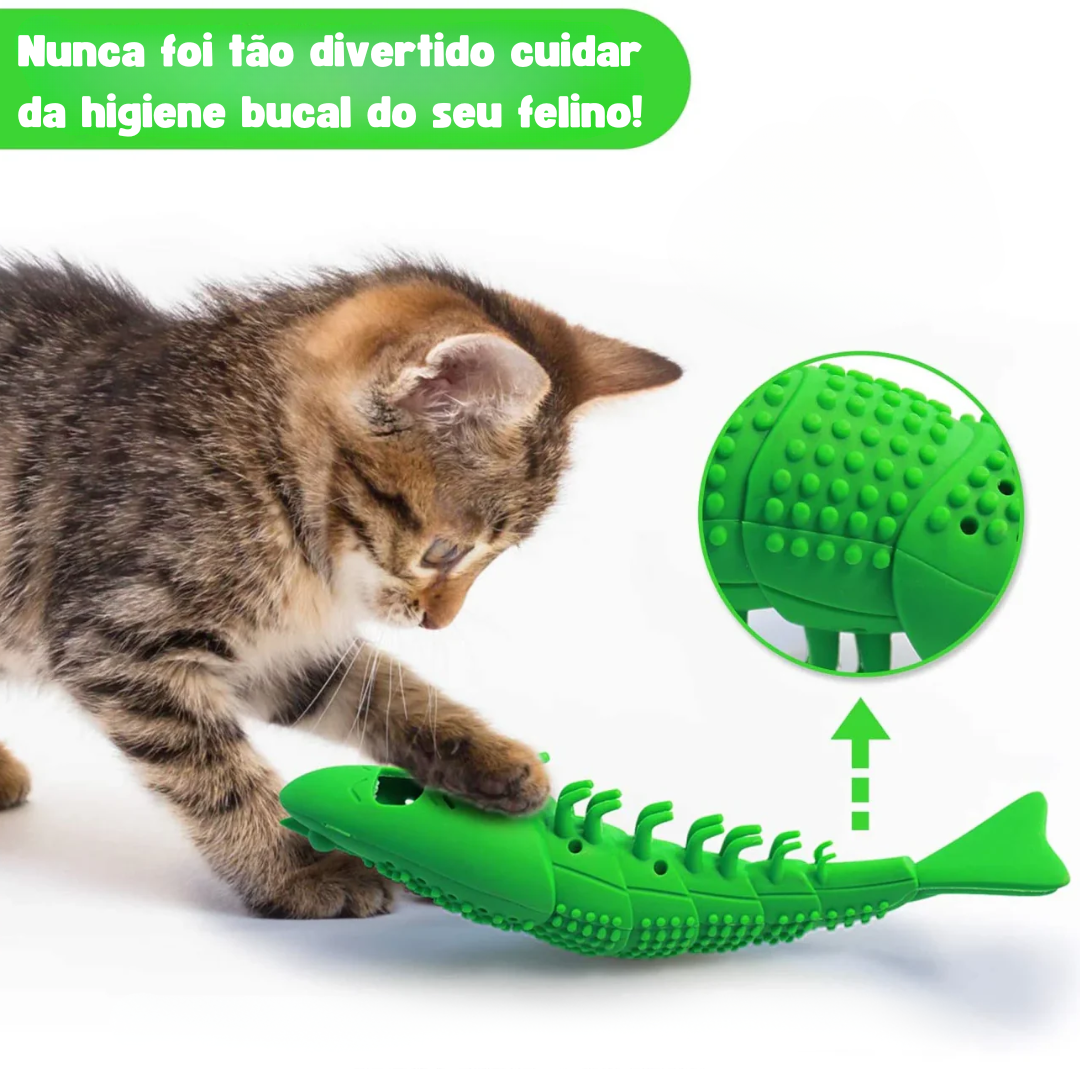 DentiCats: Higiene Dental para Gatos