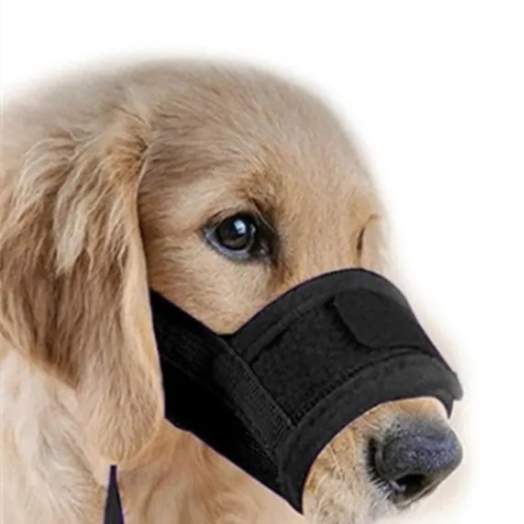 Maulkorb für Hunde